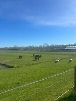 IMG_0874