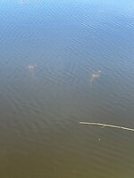 IMG_0877