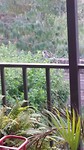 20190418_161201