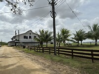 IMG_0236