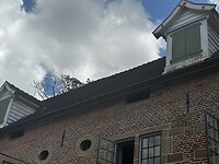IMG_5690