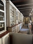 IMG_5683