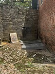 IMG_5655