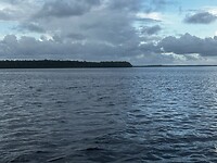 IMG_0774