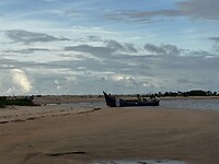 IMG_0782