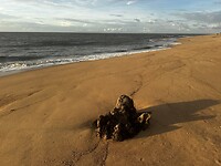 IMG_0798