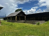 IMG_0955
