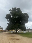 IMG_0960