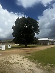 IMG_0966