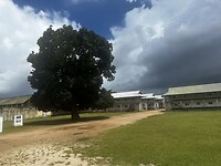 IMG_0967
