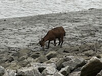IMG_1008