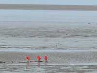 IMG_0241