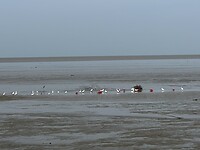 IMG_8303
