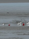 IMG_8306