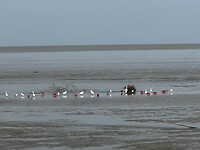 IMG_8311