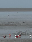 IMG_8308