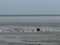 IMG_8310