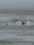 IMG_8305