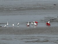 IMG_8309