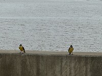 IMG_1014