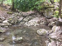 7 bronnen