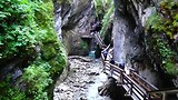 Sigmund thun klamm