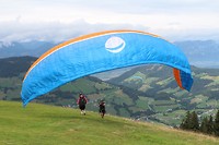 paragliders