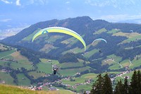 paraglider