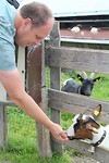 geitjes voeren ;)
