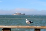 In de verte Alcatraz