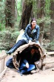 Muir Woods