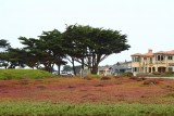 Monterey
