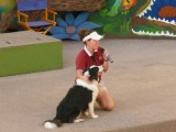 Animal Actors show