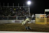 Bullriding Page
