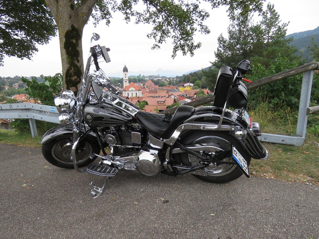 Harley