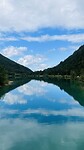 plansee
