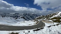 IMG_6227