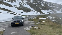 IMG_6239