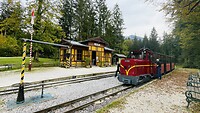 IMG_6414