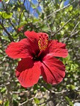 IMG_0413