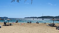 IMG_0477