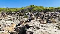 IMG_0494