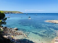 IMG_0497