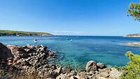 IMG_0501