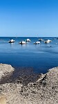 IMG_0473
