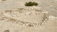 IMG_0878