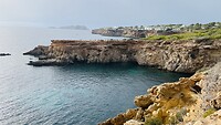 IMG_0880
