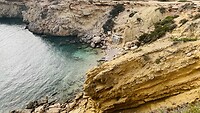 IMG_0886