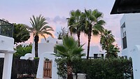 IMG_1029