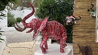 IMG_1048